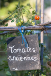 Étiquette de Tomates anciennes