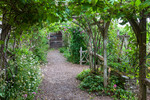 Tonnelle dans un jardin anglais